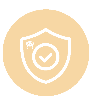 Icon_solution_security